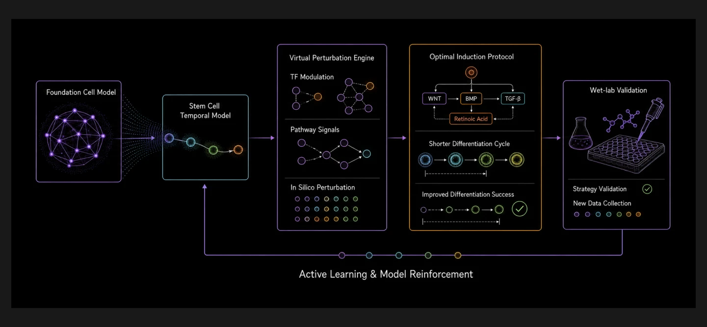 Core Architecture