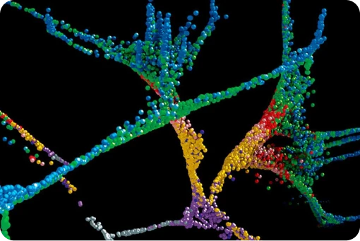 CellOS Embedding (CE) Representation Model: Understanding Life