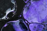 AI-Optimized Stem Cell Differentiation