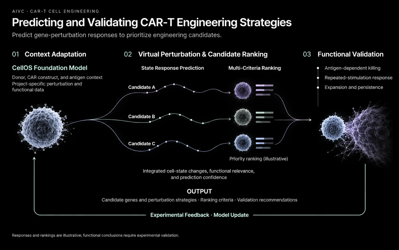 Core Architecture